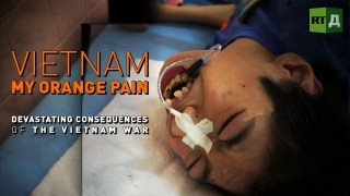Vietnam: My Orange Pain