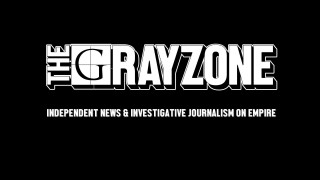 The Grayzone